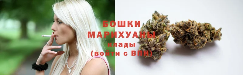 Марихуана THC 21%  shop наркотические препараты  Амурск  где найти наркотики 